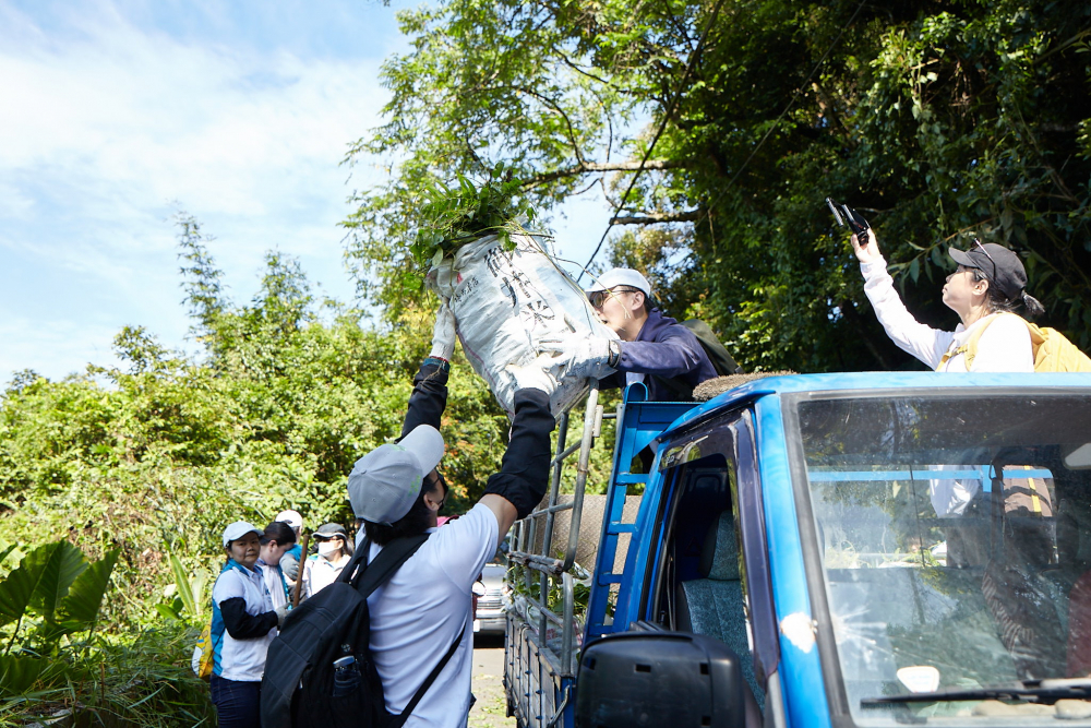 友達串聯志工組成水環境巡守隊，針對霄裡溪沿岸3公里的小花蔓澤蘭，定期進行移除與防治工作